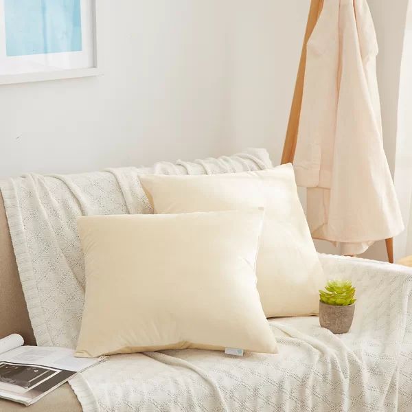 Calvin Soft Decorative Velvet Throw Pillow | Wayfair North America