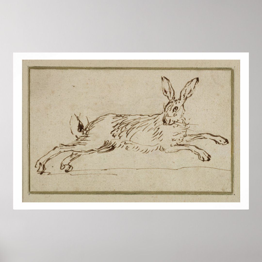 A Hare Running, With Ears Pricked (pen & ink on pa Poster | Zazzle | Zazzle