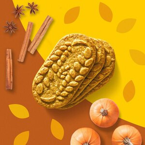 Belvita Pumpkin Spice Breakfast Biscuits, 5 CT, 8.8 OZ | CVS Health