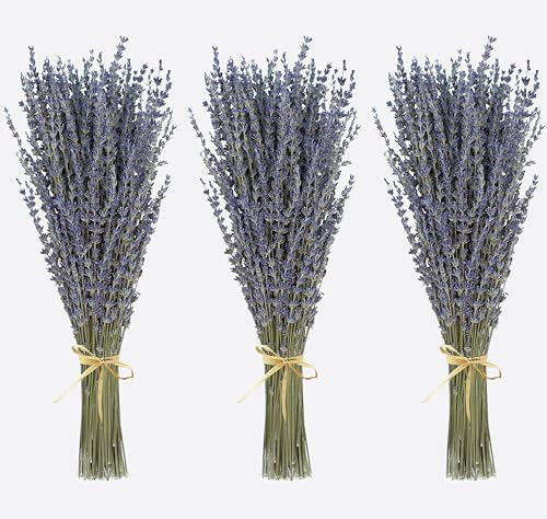 Dried Lavender 3 Bunches 100% Fresh Natural Purple Bouquet Flowers for Bathroom Photo Props Crafts Decoration, 15-17" for Shower Weeding Vase Decor, Aromatherapy Home Fragrance(300-330 Stems Total) | Amazon (US)