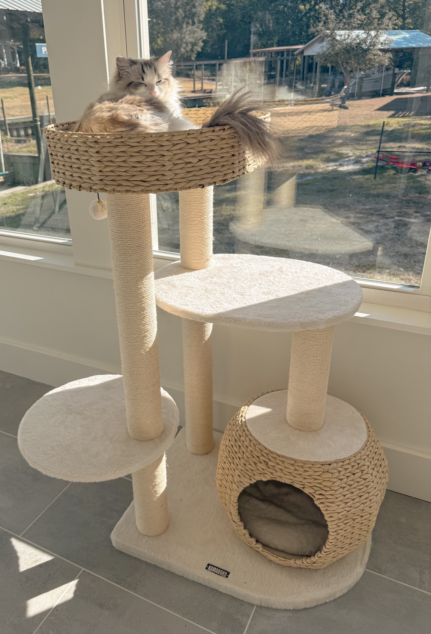Cat tree. Aesthetic cat tree. Cat bed. Scratch post  

#LTKHome