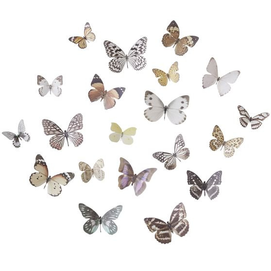 3-D Butterflies, Set of 20 | Pottery Barn Teen