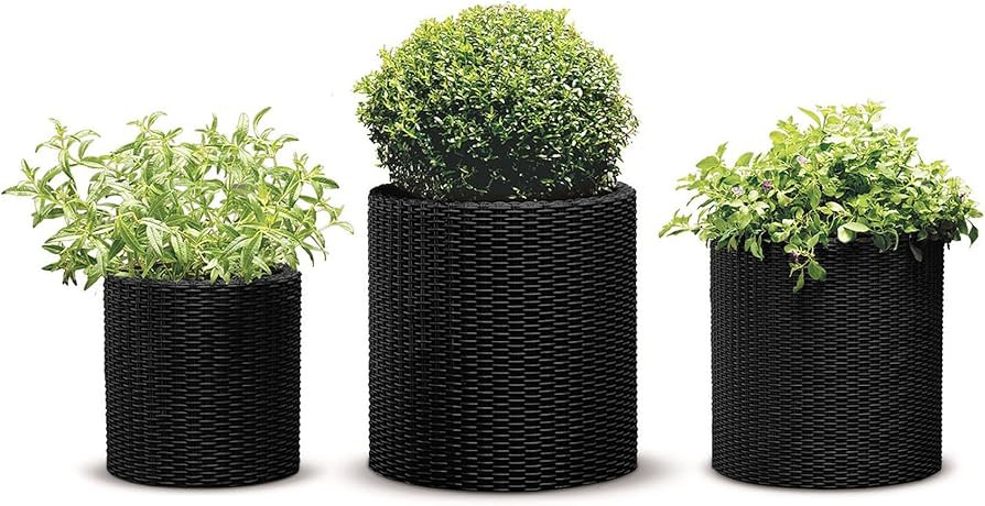 Keter Cylinder Set of 3 Rattan Resin Planter for Indoor and Outdoor Plants Ideal Decorative Plant... | Amazon (US)