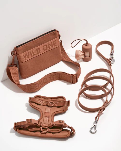 Dog Harness Walk Kit With Treat Pouch | Wild One | Wild One