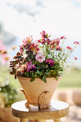 Leaf Footed Galestro Pot | Terrain