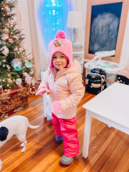 Snow Essentials Toddler Edition 
#toddlersnowsuit #snow #winter #sledding #winterfun #northface #catandjack #disneyprincess

#LTKkids #LTKSeasonal #LTKstyletip