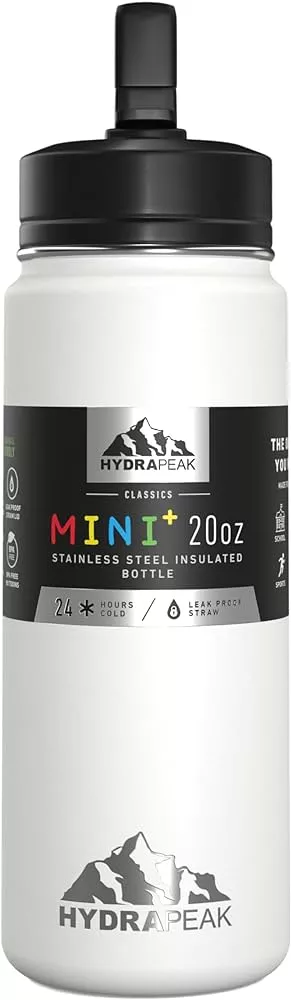 Hydrapeak hydrapeak mini 20oz kids water bottle with straw lid