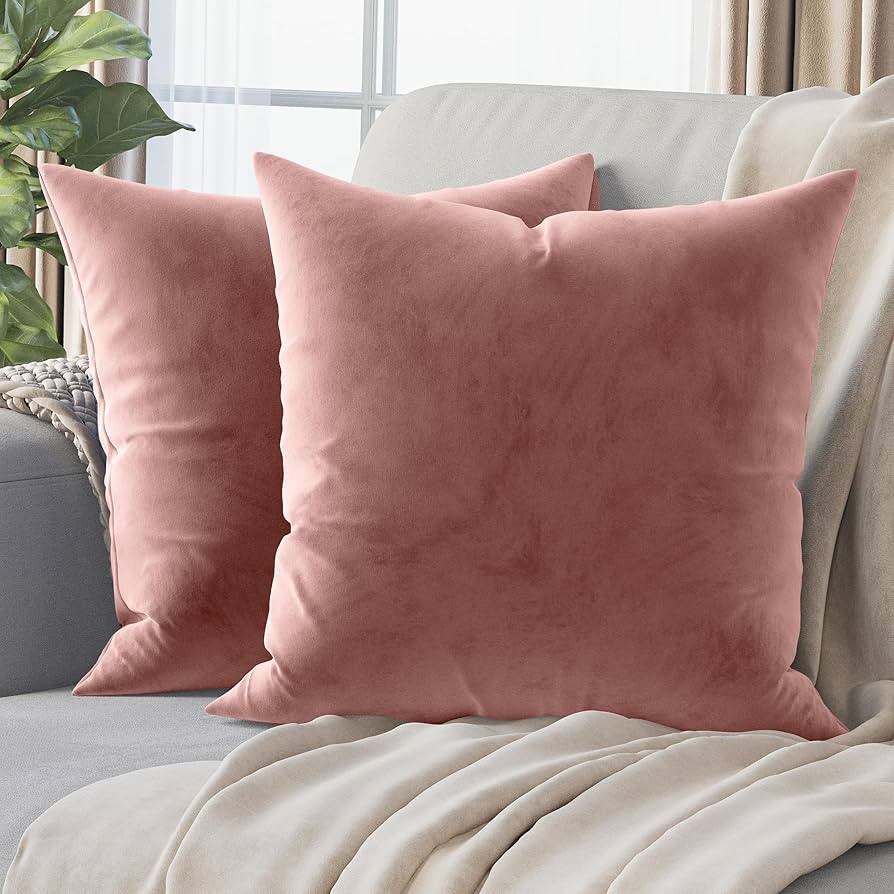 NEATERIZE Premium Velvet Pillow Covers 18x18 Blush - Washable Decorative Fabric Throw Pillow Cove... | Amazon (US)