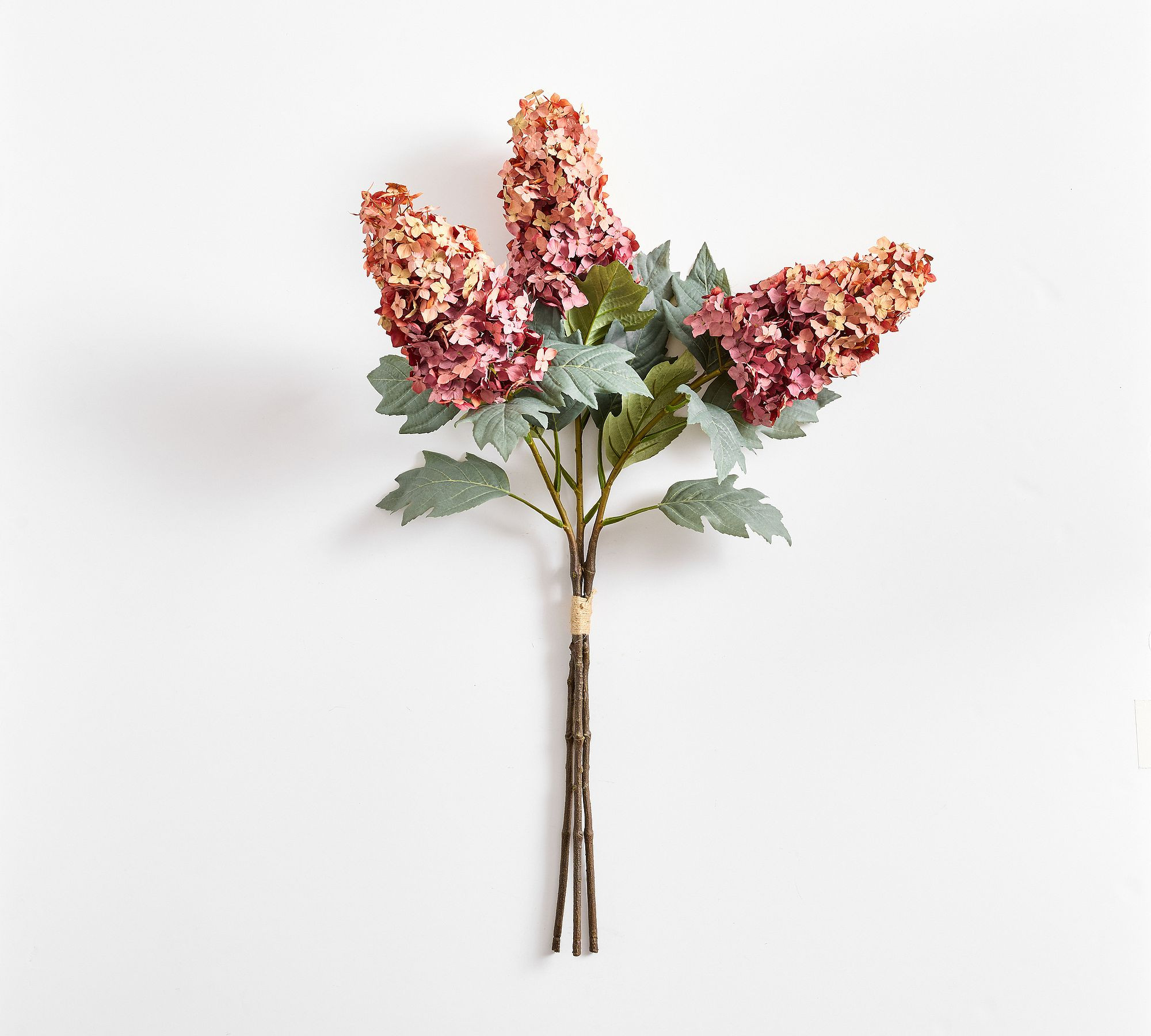 Faux Oversized Cone Hydrangea Bundle | Pottery Barn (US)