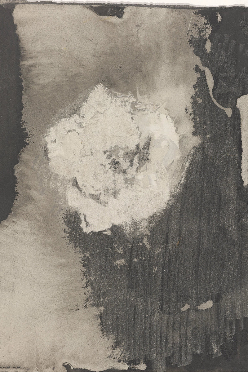 Bloem | Juniper Print Shop