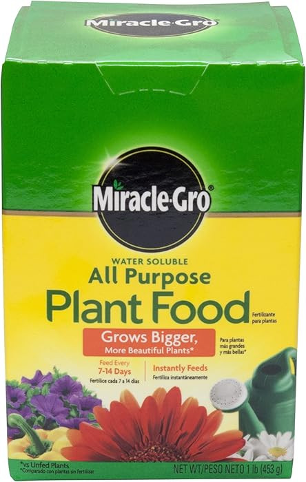 Miracle Gro 160101 1 Lb Water Soluble All Purpose Plant Food 24-8-16 | Amazon (US)