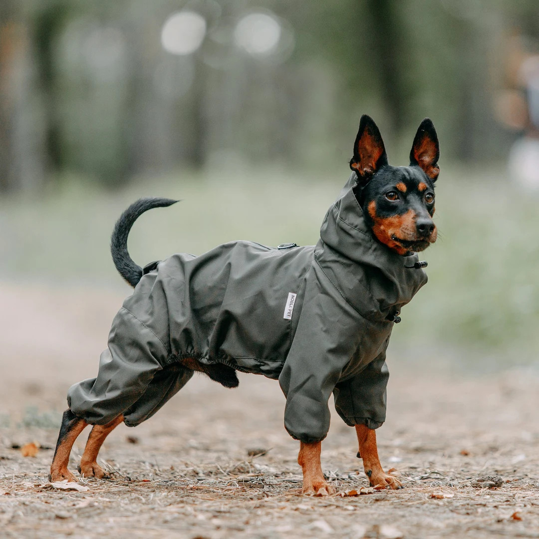 Comfortable Full Body Dog Suit, Overall for Dogs, Waterproof & Windbreaker Dog Raincoat, Trendy D... | Etsy (Global)