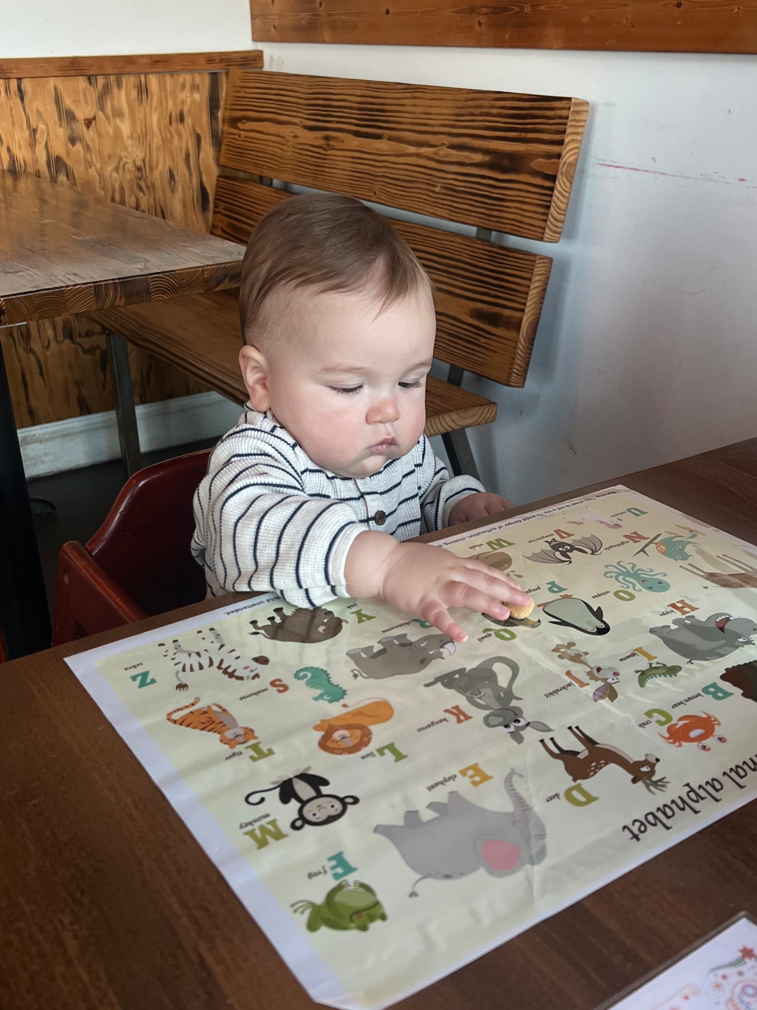 These disposable stick-on placemats for our baby when going out to eat have been so handy to have! 

#LTKFamily #LTKBaby #LTKKids