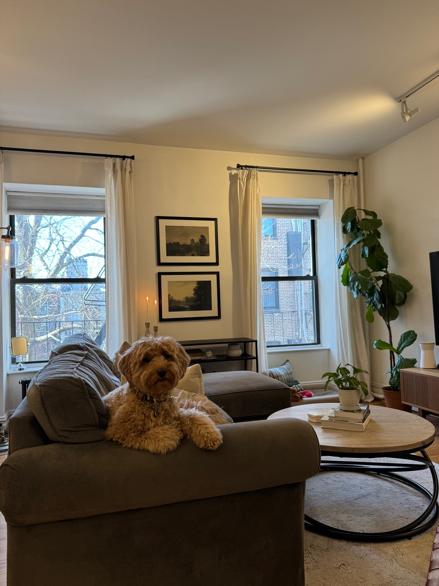 linking our living room favorites here! 

#LTKHome