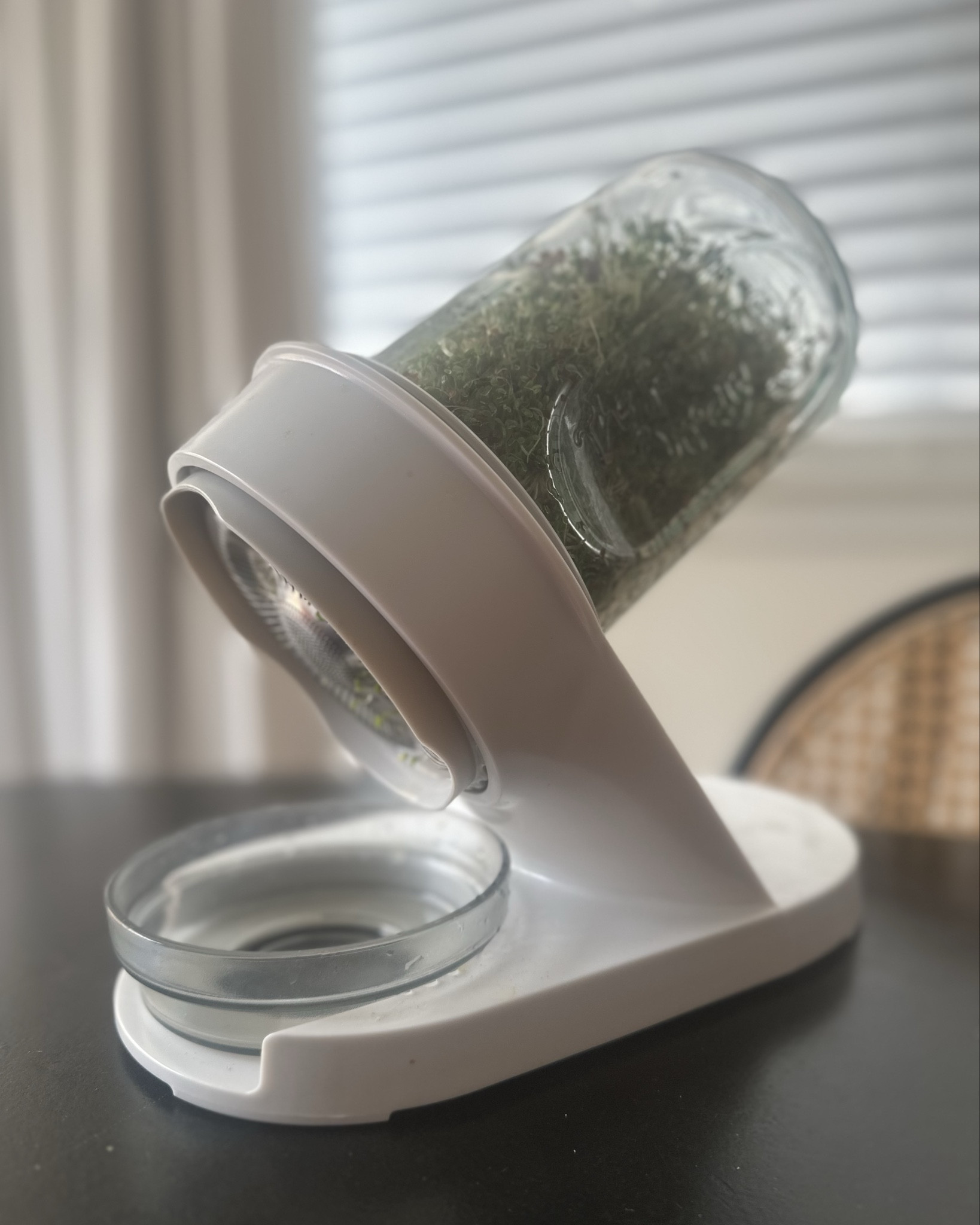 If you grow one thing, make it sprouts or microgreens 🌱 

I don’t think I realized how easy it was to grow them until I tried, and they’re SO expensive at the store but they’re so good for you! You can get an entire bag of microgreen seeds or sprouting seeds for the cost of one small container of greens at the store…

These are our broccoli and alfalfa sprouts. We add them to the top of our soups, pizza, salad… you can blend them into a green smoothie or into a meal too if you want to go that route. 

For microgreens, you just need a shallow container and some dirt. For sprouts, I have some recommendations for the containers on the link in my bio, but there’s a ton of options out there.

#sprouts #inmygardentoday

#LTKHome #LTKSeasonal #LTKActive