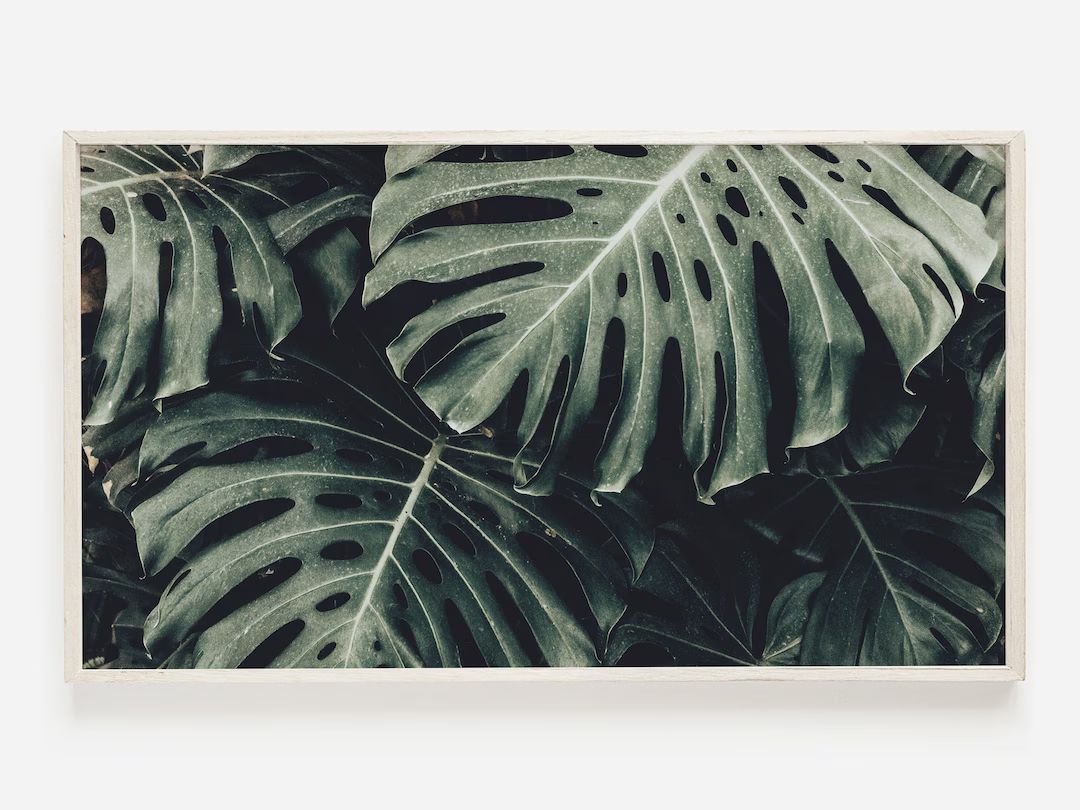Samsung Frame TV Art | Monstera Leaf TV Art | Tropical Plant Photo | Botanical Tv Decor | Monster... | Etsy (US)