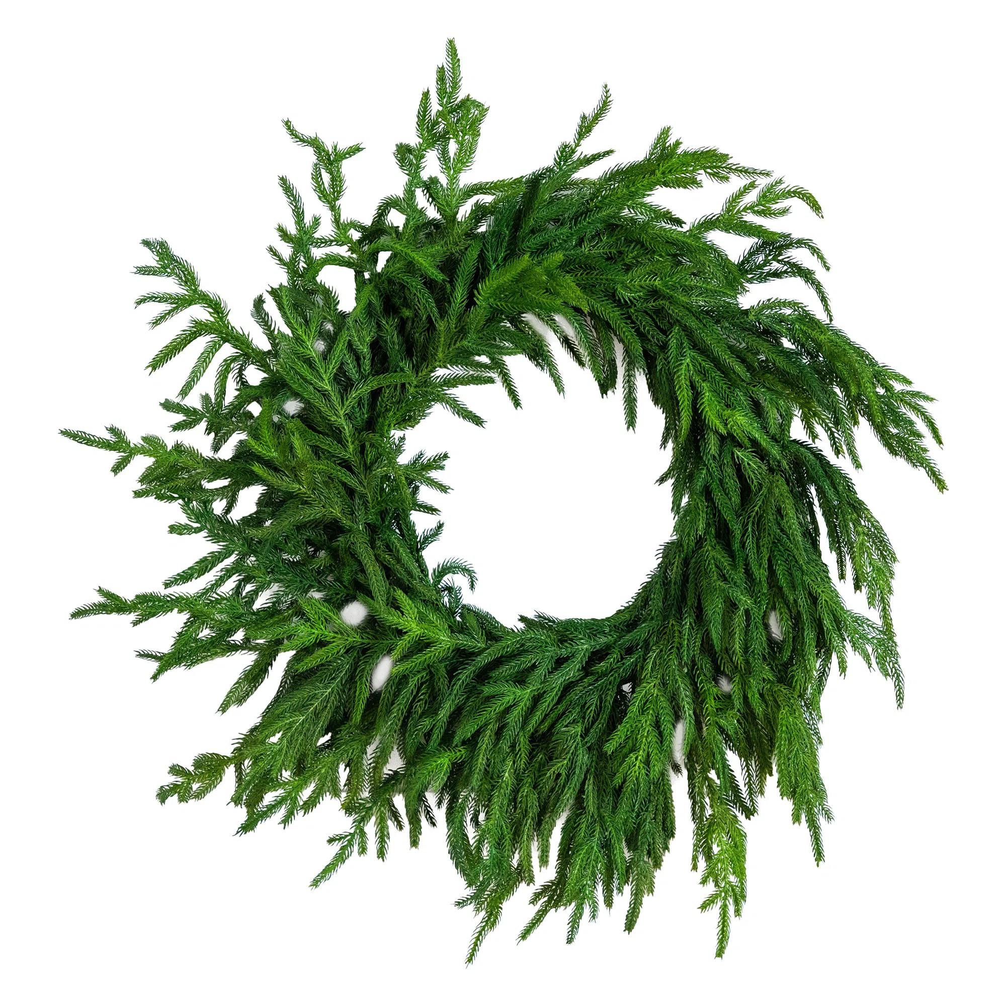 Artificial Real Touch Norfolk Island Pine Wreath With 35 Warm White LED Lights And Natural Look | Wayfair North America