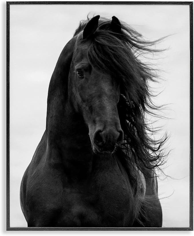 Stupell Industries Black Stallion Horse Portrait Soft Grey Sky Photography, Design by Carol Walke... | Amazon (US)