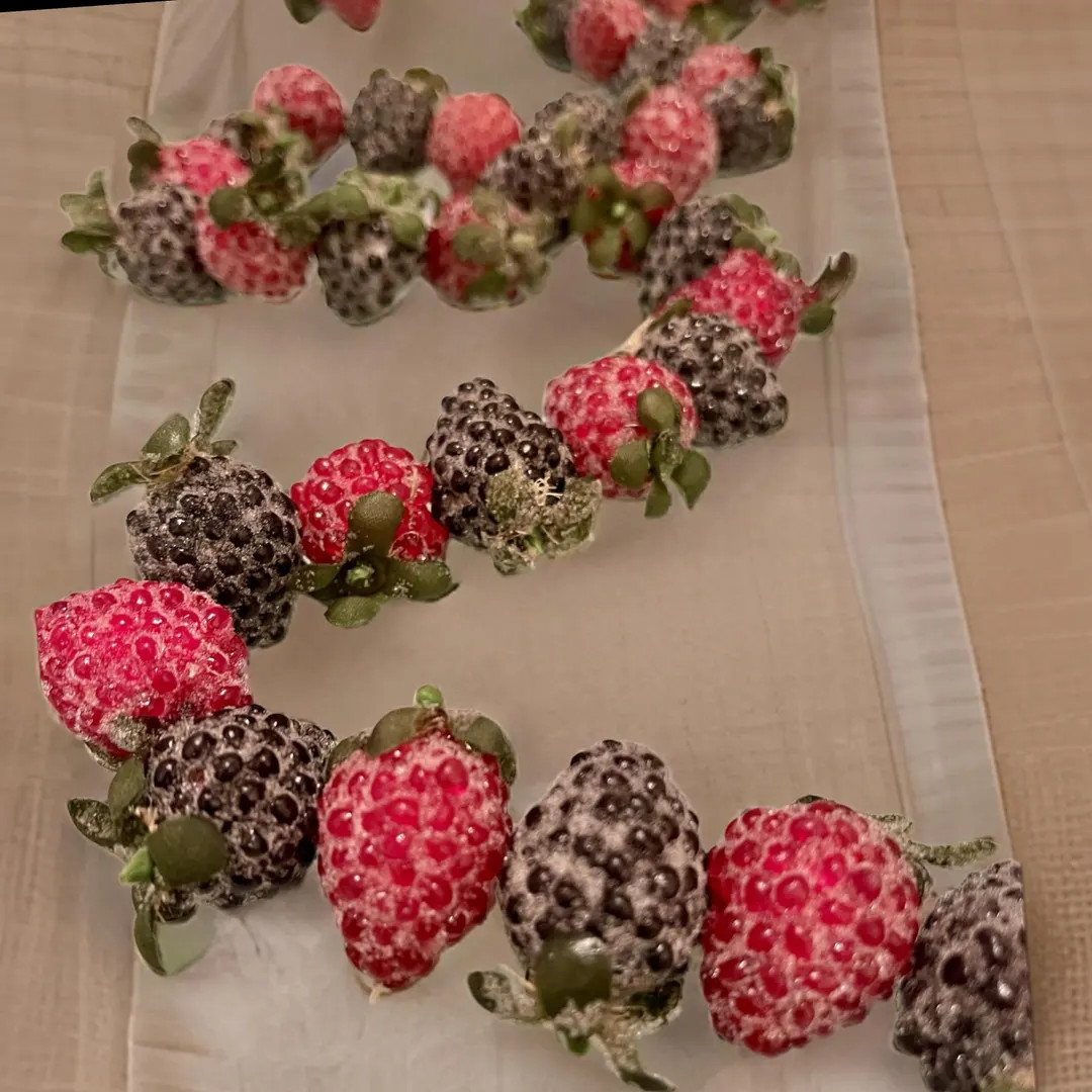 4 FT Sugared Raspberry Fruit Garland, Berry Garland, Christmas Garland | Etsy (US)