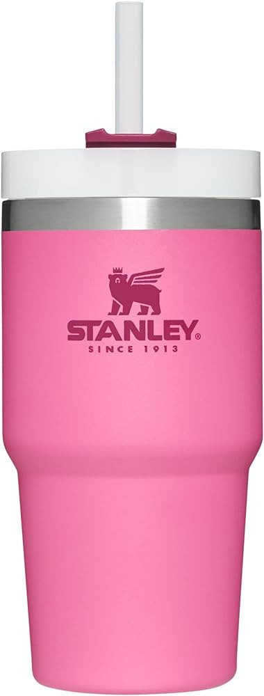Stanley Adventure Quencher Travel Tumbler 20oz Azalea | Amazon (US)