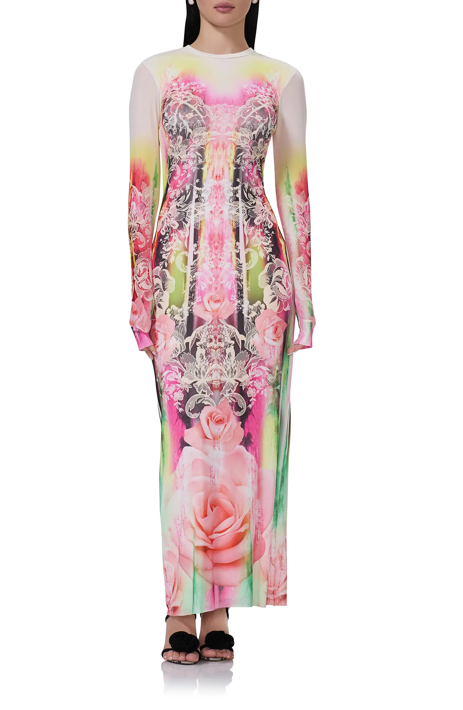 Didi Printed Long Sleeve Mesh Maxi Dress | Nordstrom