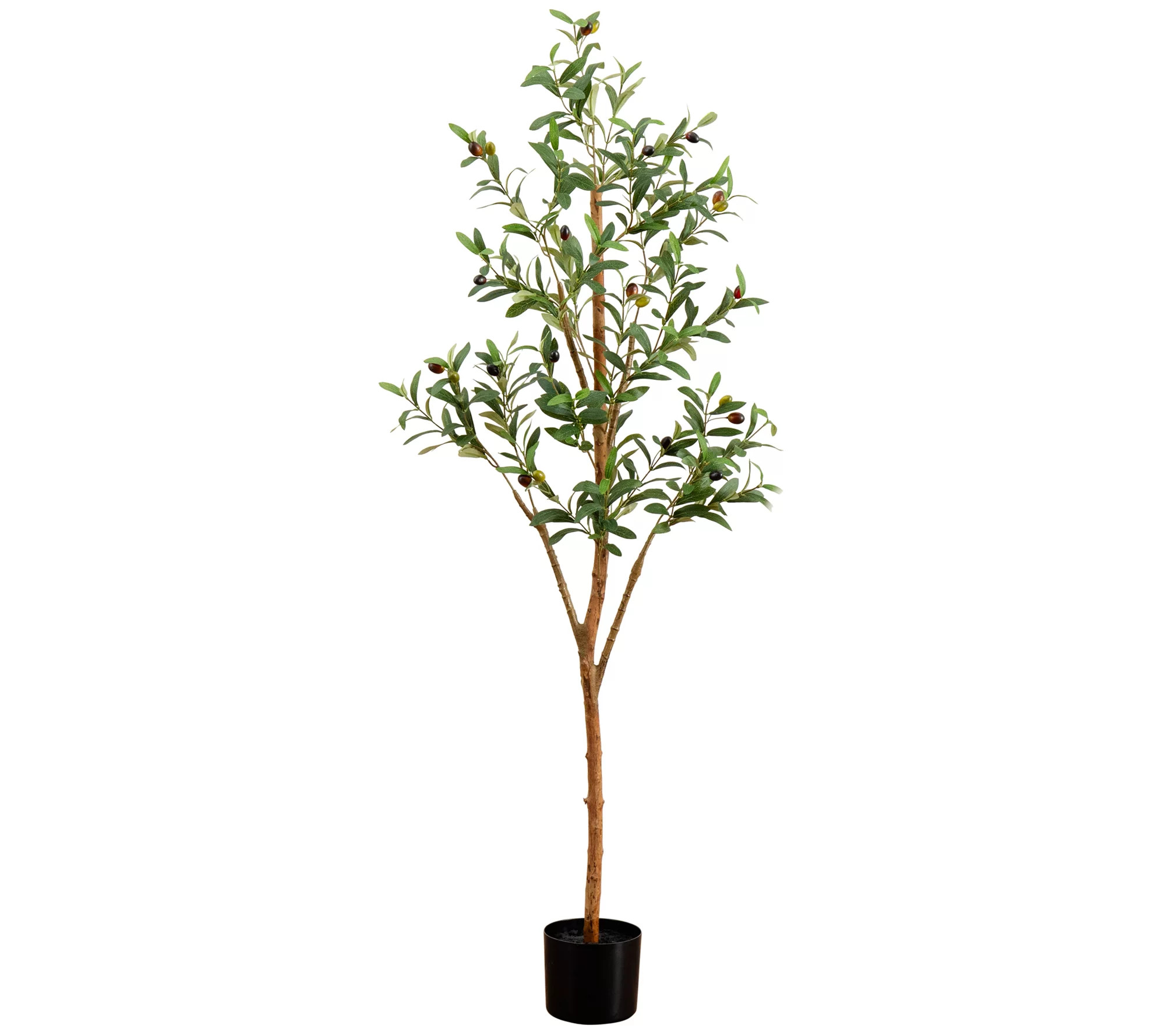 Make Your Selection: Nearly Natural 5' Artificial Olive Tree with Natural Trunk | QVC
