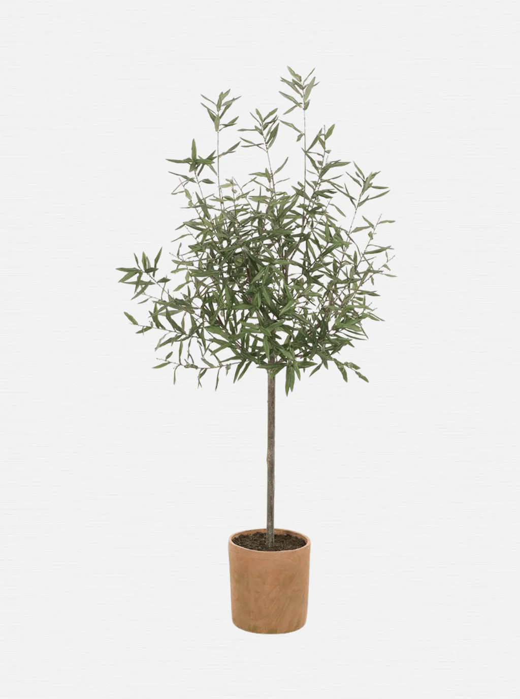 Potted 70" Faux Olive Tree | House of Jade Home