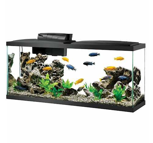 Aqueon Standard Open-Glass Glass Aquarium Tank, 55 Gallon | Petco