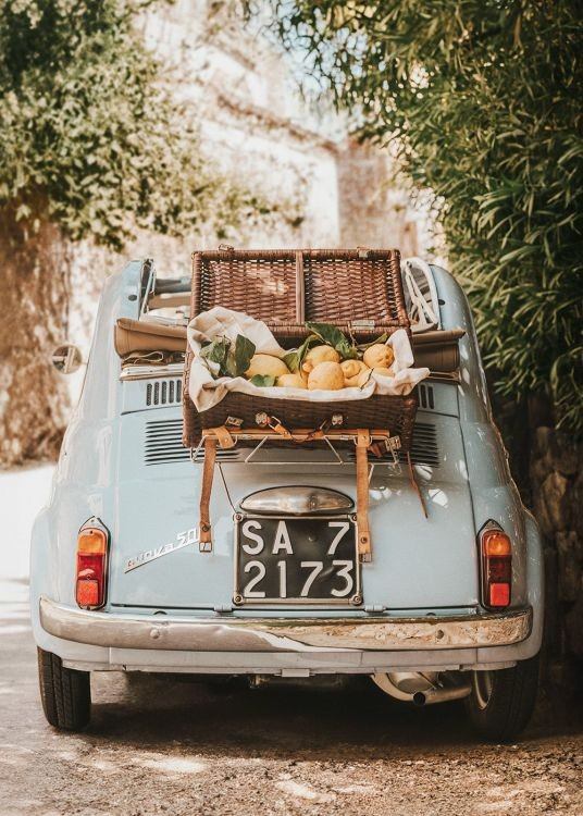 Citrus Cruise Poster | Desenio