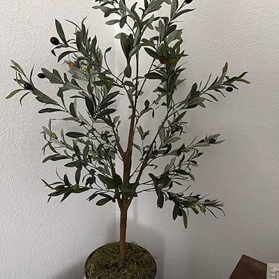 Artificial Fake Olive Tree 7FT Tall 1Pack Faux Silk Olive Tree for Home Living Room Office Decor ... | Amazon (US)