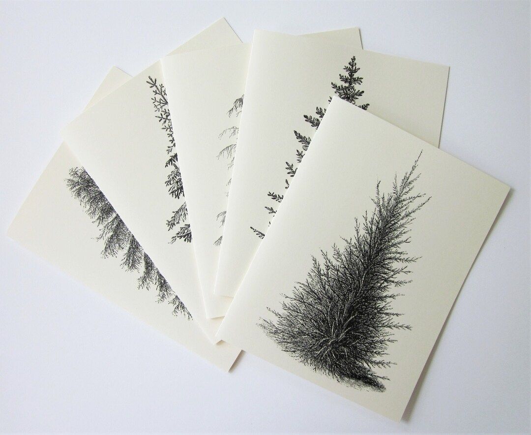 Pine Tree Note Card Set of 10 in White or Light Ivory With - Etsy | Etsy (US)
