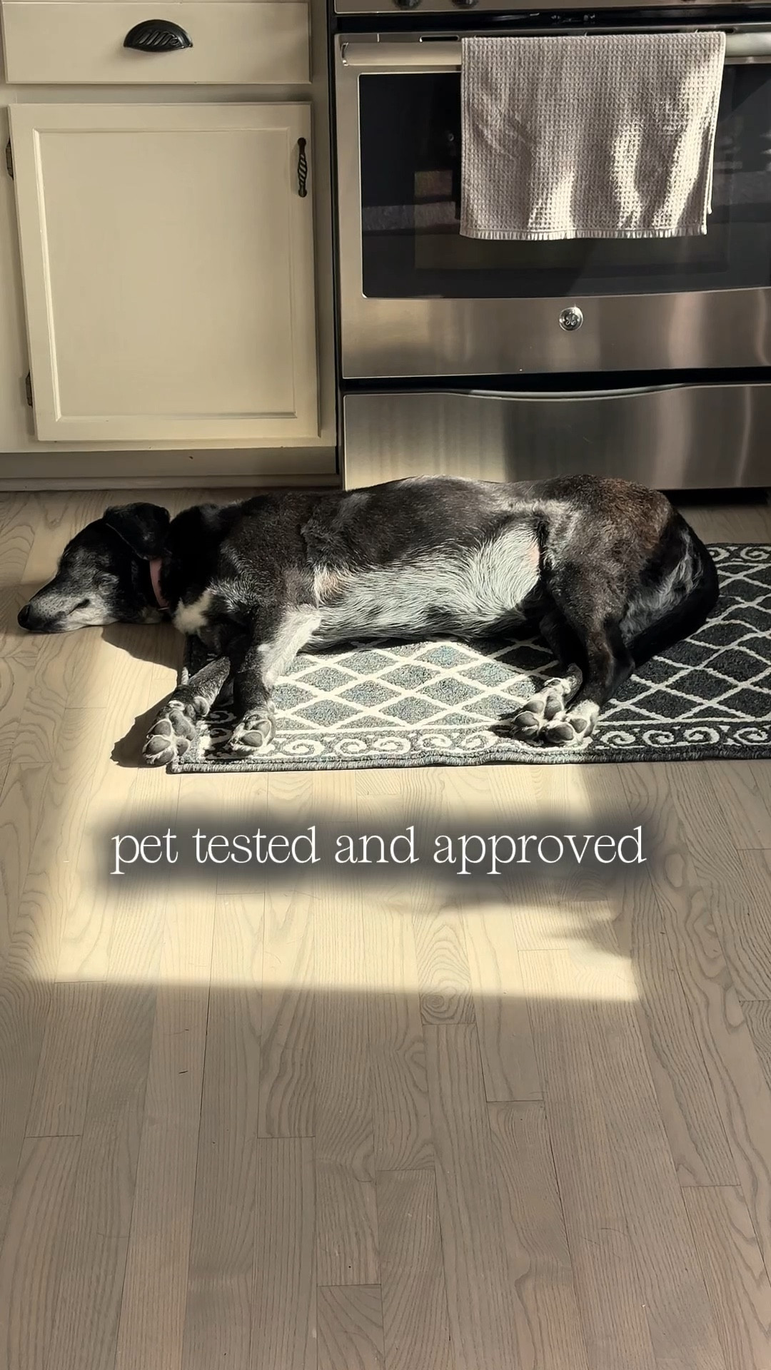 My dog approved this kitchen rug before I did. Washable, non-slip, and obsessed. 🖤

#kitchenrugdecor 
#homedecorfinds 
 #kitchenrug #blackrug #homedecor #nonsliprug #amazonhome

Black rug, kitchen rugs, washable rugs, nonslip rugs, rugs on Amazon 

#LTKHome