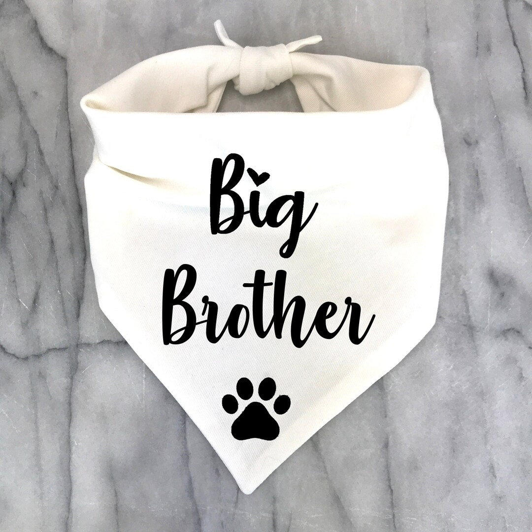 Big Brother Dog Bandana, Pregnancy Announcement Photos, Baby Shower Gift, New Puppy Gotcha Day, G... | Etsy (US)