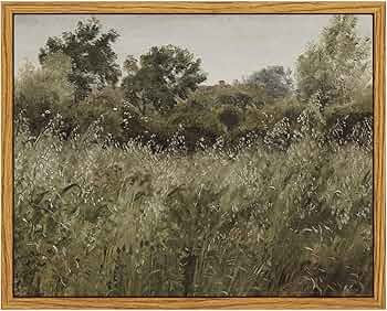 Visit the InSimSea Store | Amazon (US)