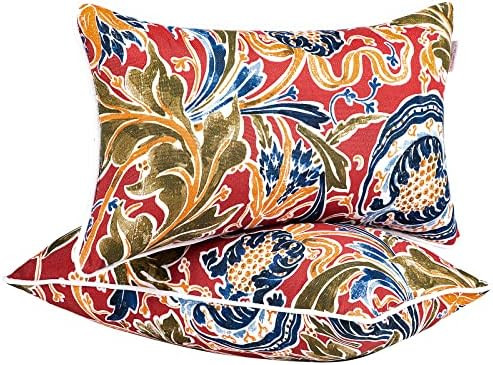 JMGBird Water-Resistant Outdoor Pillows Set of 2, 12x20 inch Durable Red with Pomegranate Flower ... | Amazon (US)