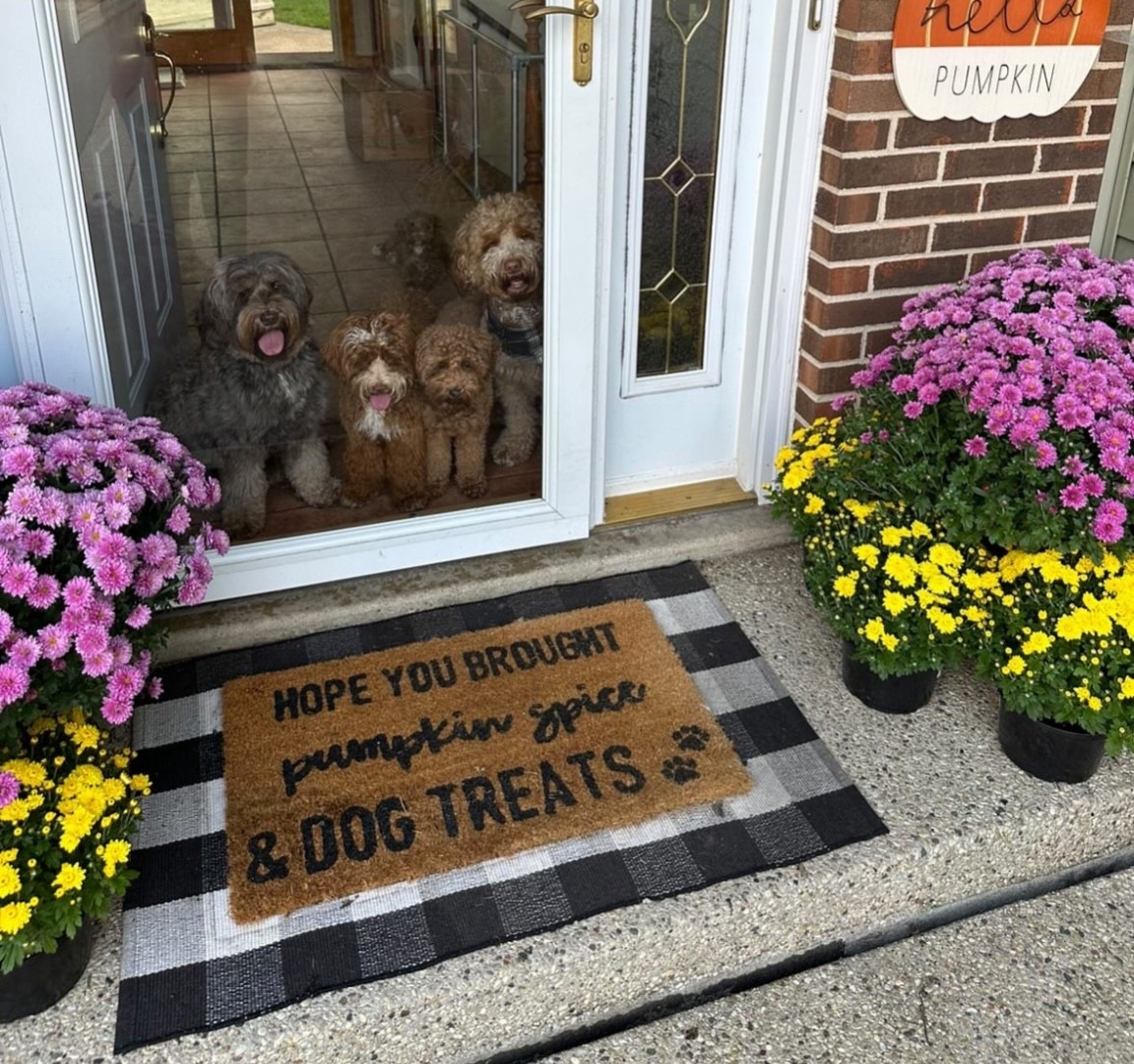 Cutie fall doormat for dog lovers!

#falldoormat #fallporchdecor #falldecor #fallhomedecor #pumpkinspice

#LTKFallSale #LTKSeasonal #LTKHome