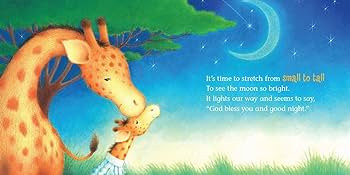 God Bless You and Good Night Touch and Feel (A God Bless Book) | Amazon (US)