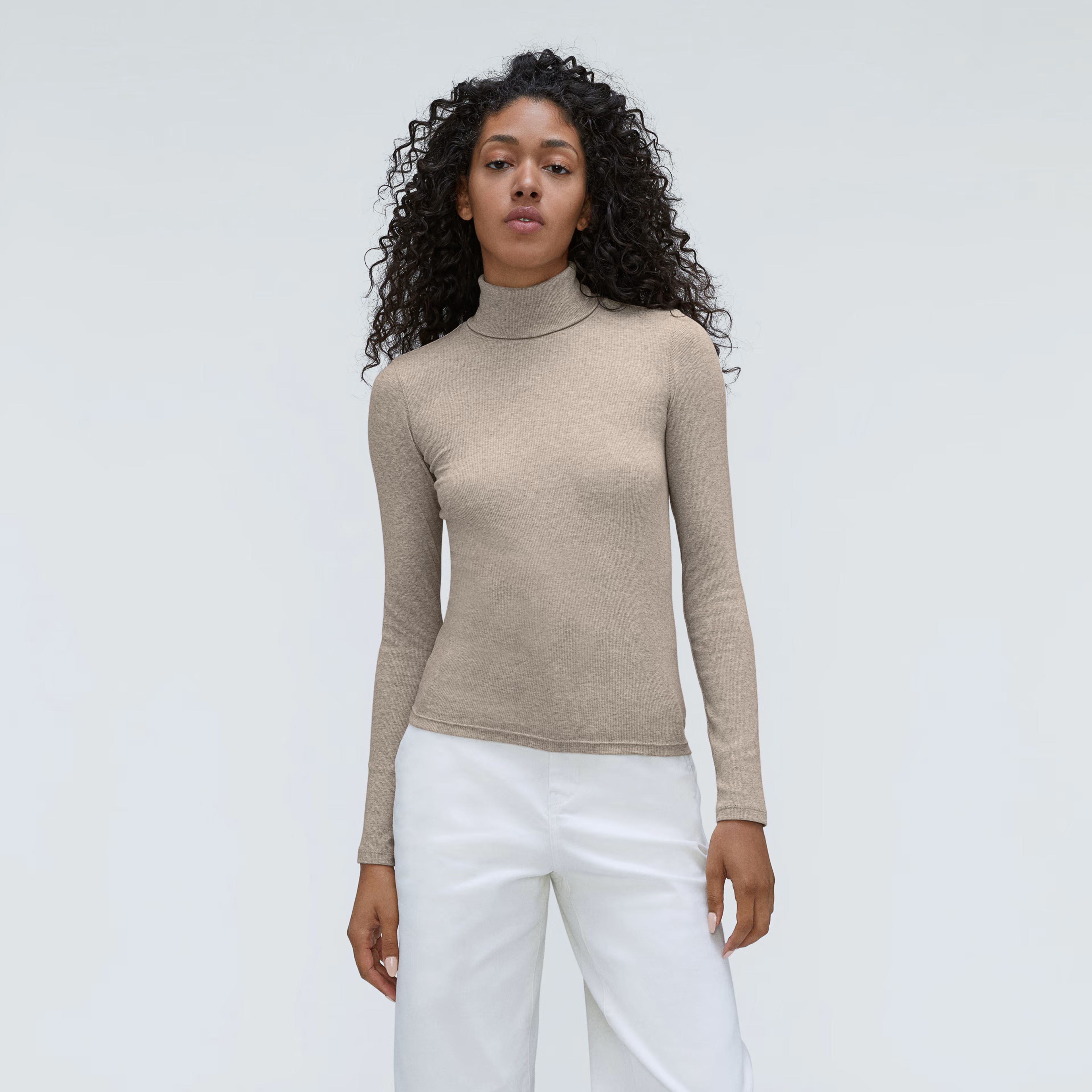 The Pima Micro-Rib Turtleneck | Everlane