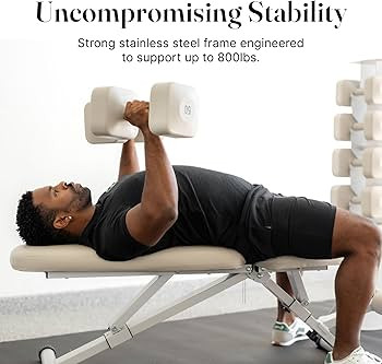 WeGym Fitness Bench, Adjustable, Collapsible, Comfortable, and Luxurious Home Gym Bench for Stren... | Amazon (US)