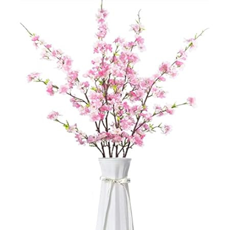 Cherry Blossom | Amazon (US)