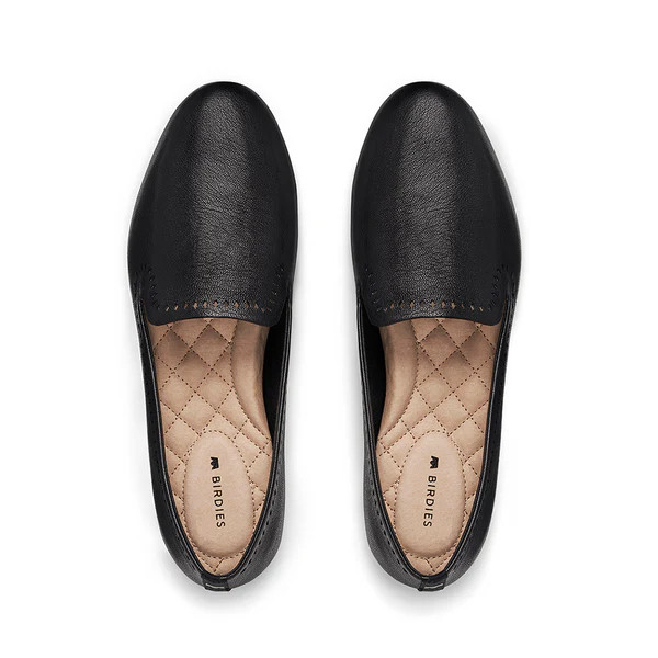 the starling | BIRDIES