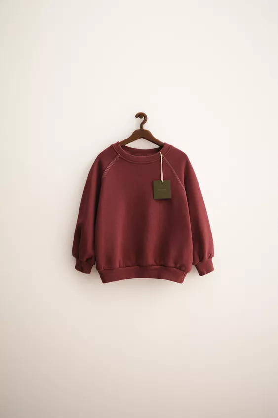 ZARA TIMELESS – RANGLAN-SWEATSHIRT | Zara DE