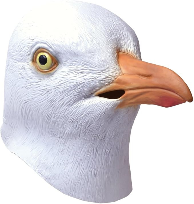Bristol Novelty BM504 Seagull Mask, One Size | Amazon (US)
