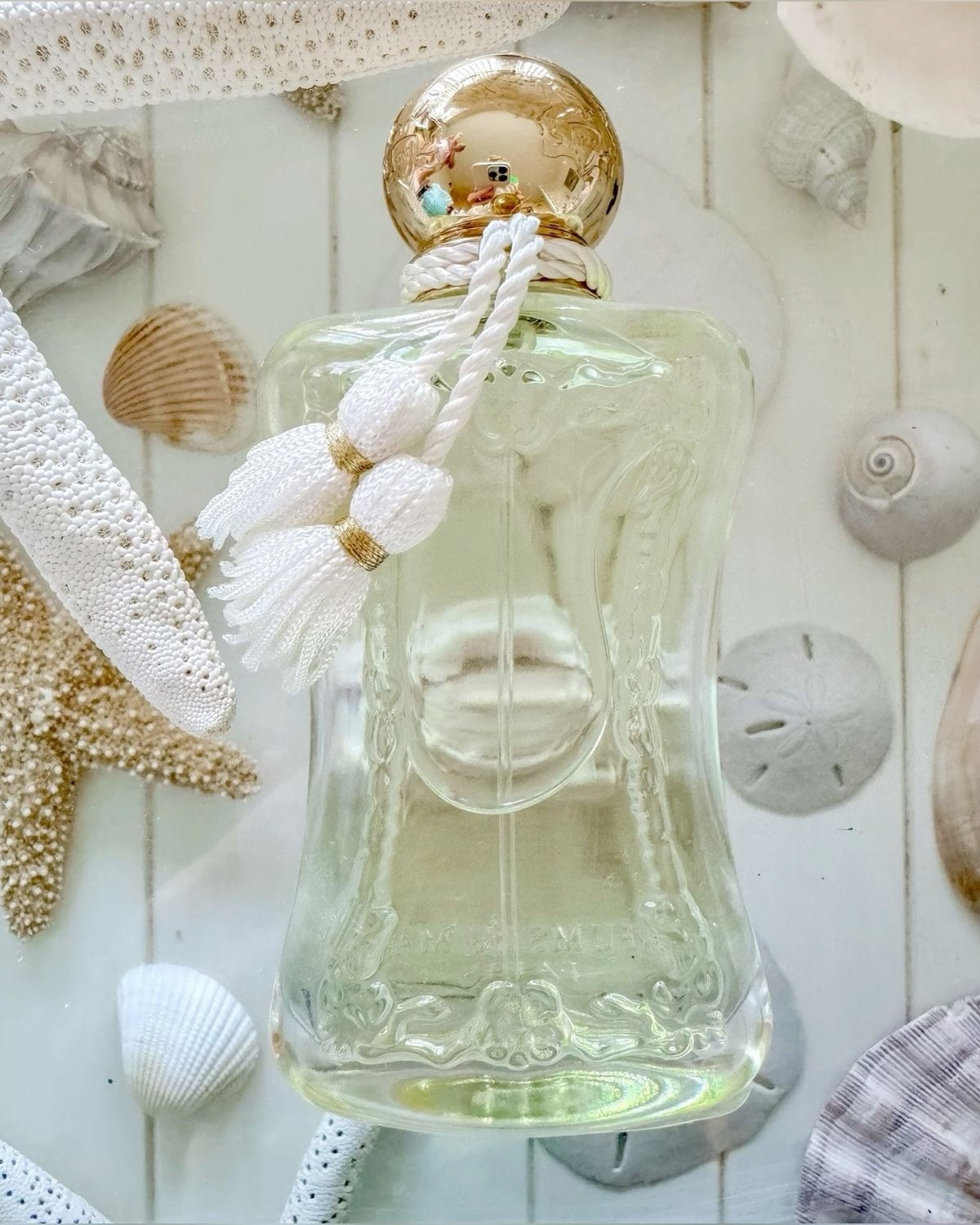 Meliora by Parfums de Marly✨⚓️

If summer had a signature scent, this would be it.
Meliora by Parfums de Marly opens with a bright, juicy burst of raspberry, blooms into soft rose and dreamy ylang ylang, and finishes with the prettiest warm vanilla wood base.

Fresh, feminine, and effortlessly elegant like sunshine, salty air, and a day on the water. 🌸✨

Oriana (Hot Pink) opens with sparkling mandarin, reveals a radiant heart of orange blossom and jasmine, and settles into a delicious base of marshmallow, praline, and velvety musks. Gourmand, irresistible and delightful.

Palatine (Purple) pays tribute to a daring contemporary violet, with luminous and powdery notes. Dazzling, audacious and sophisticated.

Delina (Light Pink) opens with a vibrant, sweet and juicy lychee, unfolding into a Damascena rose heart and a trail of soft musks and cashmeran. Addictive, sensual and generous.

Athénaïs (Orange) opens with sparkling notes of neroli and yuzu, followed by a luminous heart of orange blossom, settling on a warm and addictive tonka bean powdery base. Flamboyant, charming and vivacious.

Perfume
Easter Basket Gifts
Gifts for Her
Teen Gifts
Easter Basket Ideas

#LTKSeasonal #LTKBeauty #LTKU