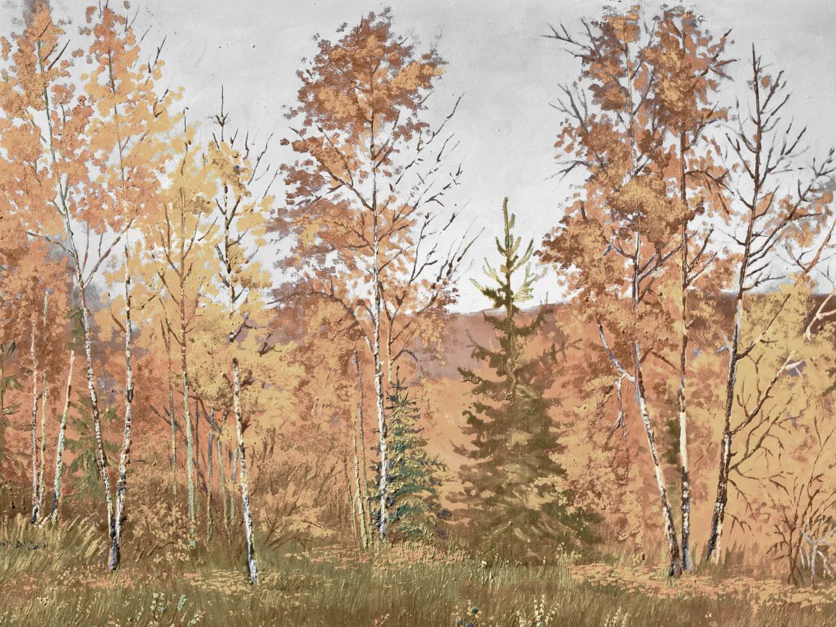 Autumn Forest | Collection Prints