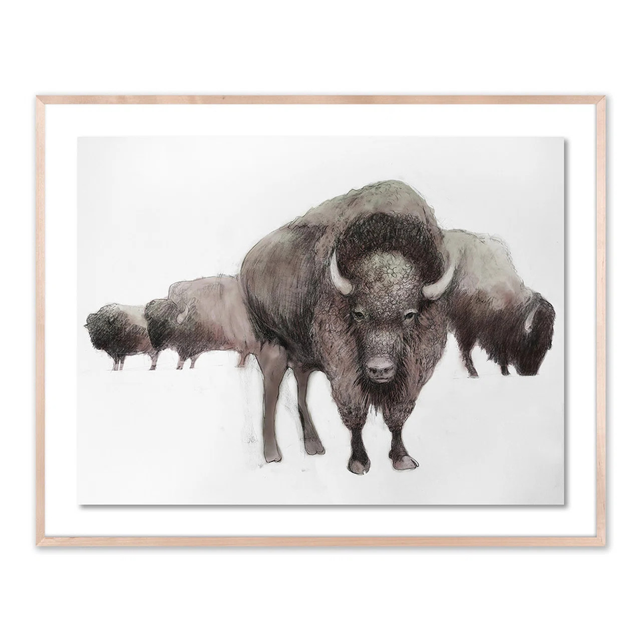 Colored Bison V2 Print by Amy Bautz | Perigold