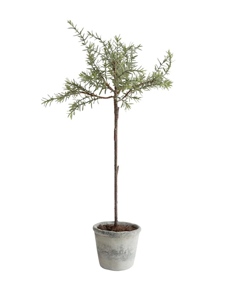 Faux Potted Rosemary Tree | McGee & Co.