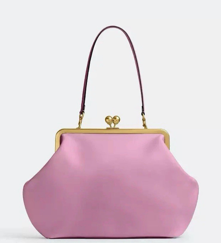 NWT COACH Pink Large KISSLOCK Frame Bag CBR51 Rose FREE SHIP! | eBay US