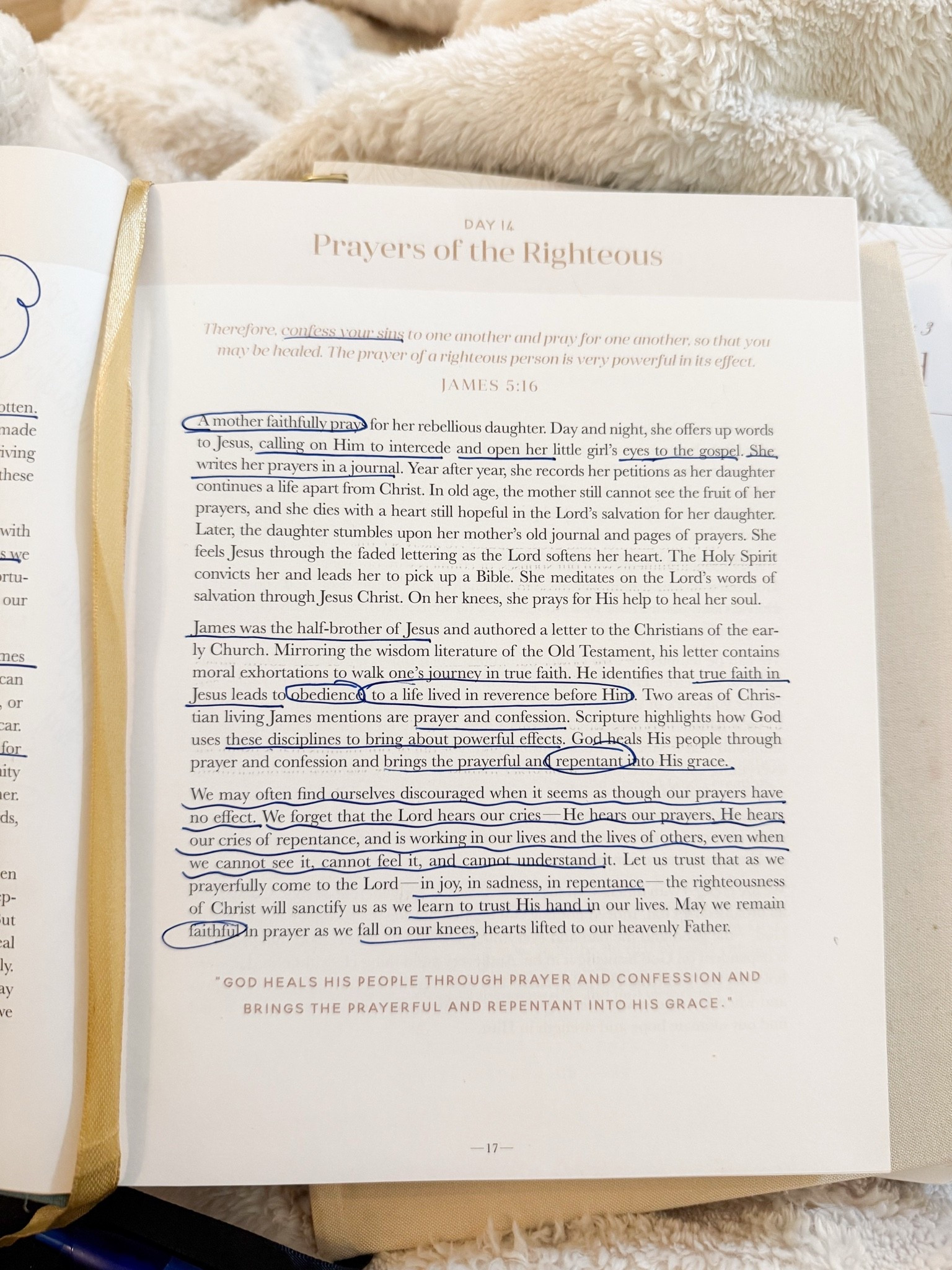 365 Day Devotional | Bible study

#LTKdayinmylife #LTKHome #LTKmomlife