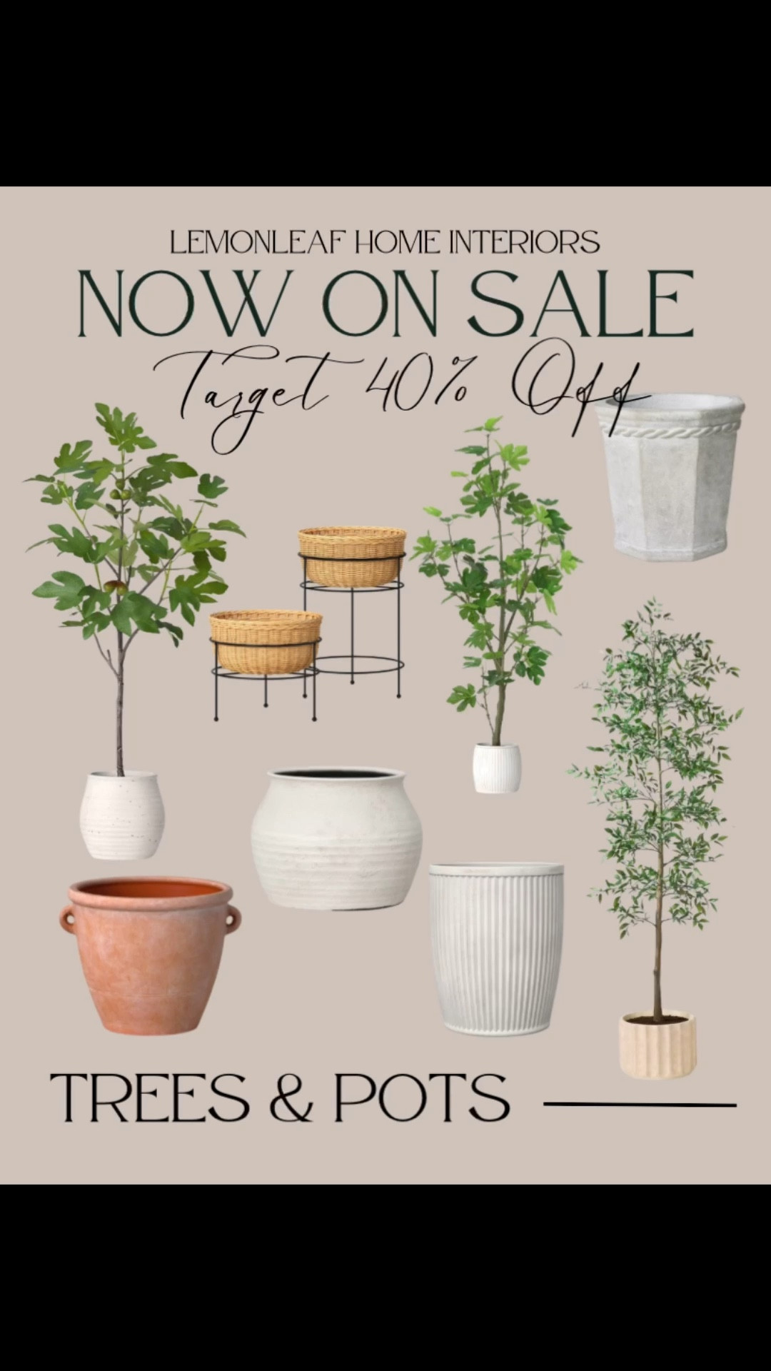 Don’t miss 40% off our favorite Target outdoor items this week!



#LTKHome #LTKSeasonal #LTKSaleAlert